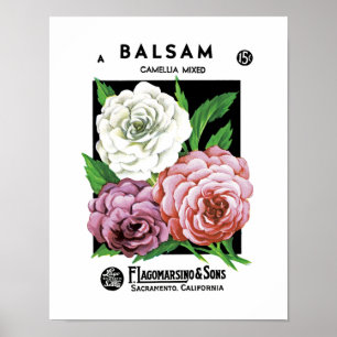 Póster Etiqueta del paquete de la semilla del bálsamo