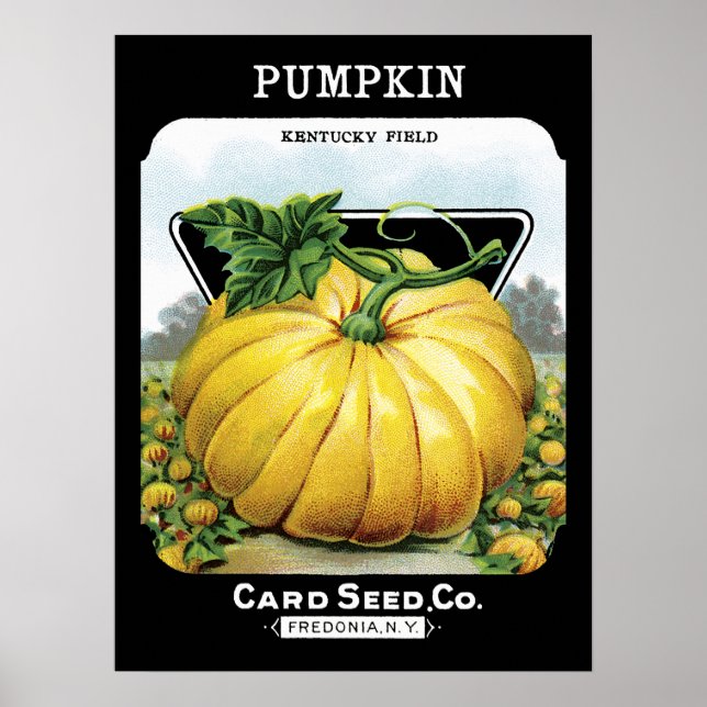 Póster Etiqueta del paquete de semilla de calabaza (Frente)
