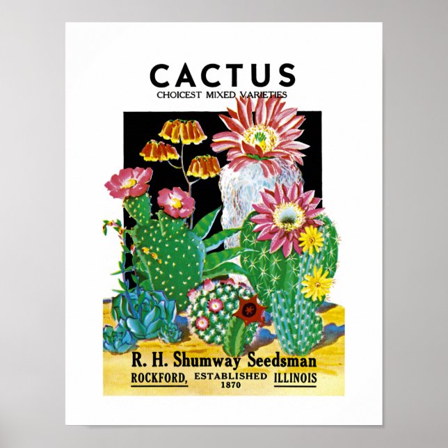 Póster Etiqueta del paquete de semillas de Cactus (Frente)