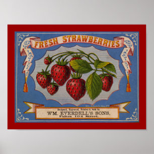 Póster Etiqueta fresca de las fresas