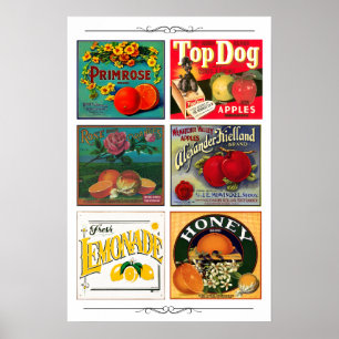 Póster Etiquetas vintage de publicidad de frutas