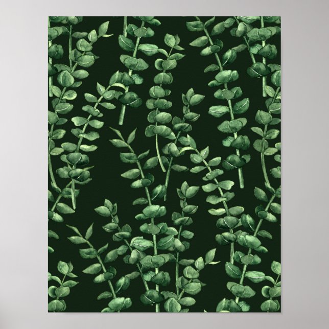 Póster Eucalypto 2 (Frente)