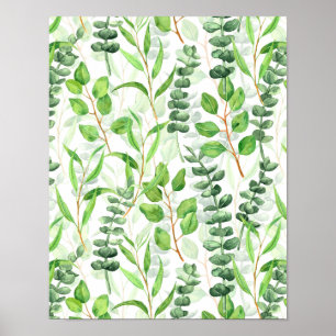 Póster Eucalyptus