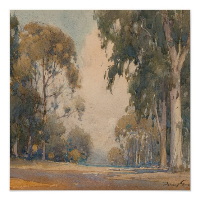 Póster Eucalyptus (1922) - Agua Delicada Botánica (Anverso)