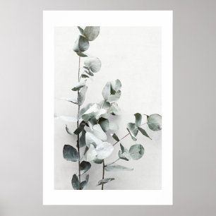 PÓSTER EUCALYPTUS TWIGS NO1, POSTER