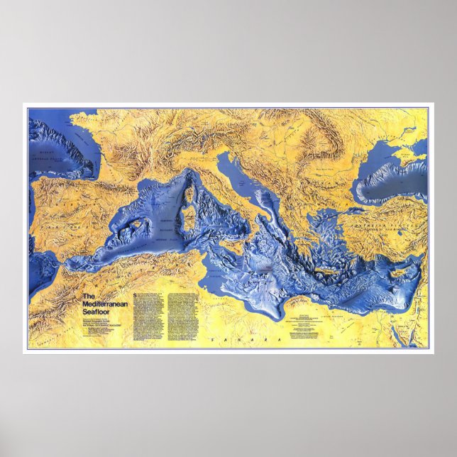Póster Europa: 1982/presente - Fondo marino mediterráneo (Frente)
