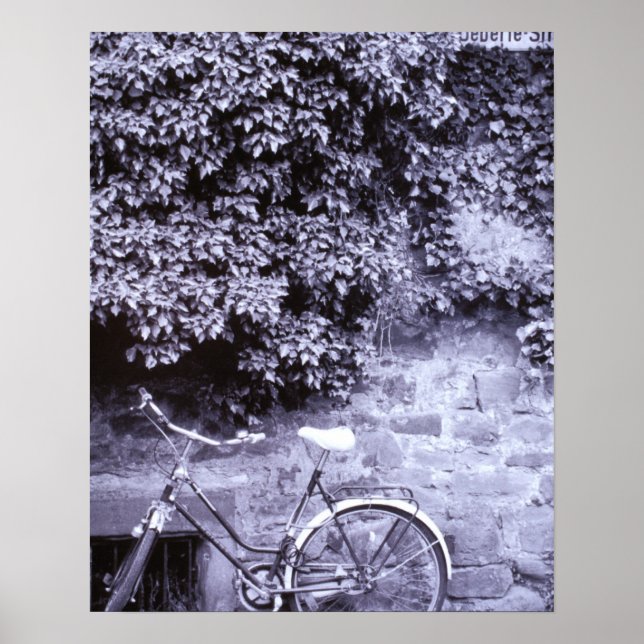 Póster Europa, Alemania, Baden, Wurttemberg, Heidelberg.  (Frente)