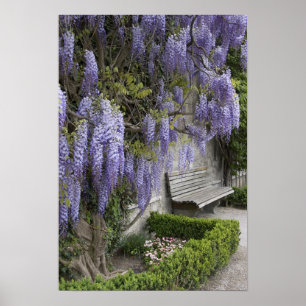 Póster Europa, Austria, Salzburg Stadt, Salzburgo,
