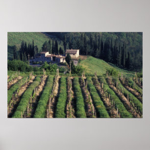 Póster Europa, Italia, Toscana. Cyprus de villa escénica.