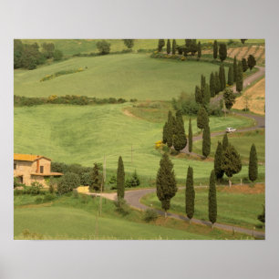 Póster Europa, Italia, Toscana, Monticchiello. Curva