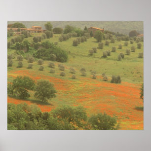 Póster Europa, Italia, Toscana, Val D'Orcia, Monte