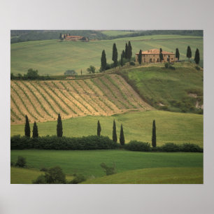 Póster Europa, Italia, Toscana, Val d'Orcia, Toscano