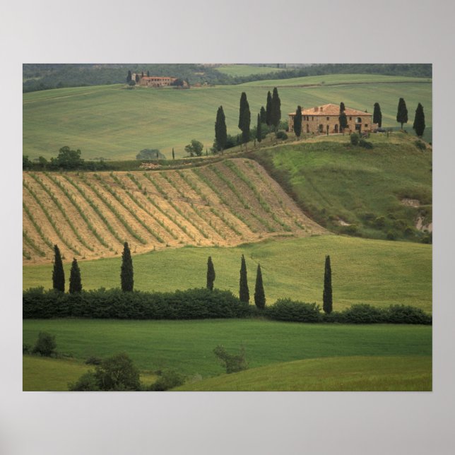 Póster Europa, Italia, Toscana, Val d'Orcia, Toscano (Frente)