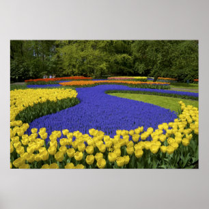 Póster Europa, Países Bajos, Holanda, Lisse, Keukenhof