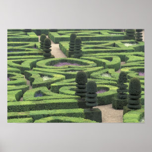 Póster Europe, France, Indre, et, Loire