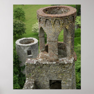 Póster Europe, Ireland, Blarney Castle. THIS IMAGE