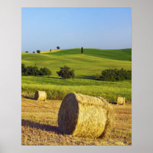 Póster Europe, Italy, Tuscany, Val d'Orcia, Pienza -