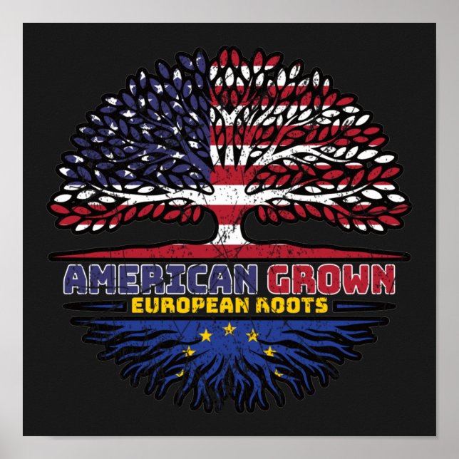 Póster European Union EU Europe US American USA United (Frente)