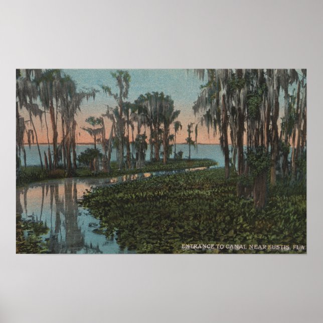 Póster Eustis, Florida - Vista del Canal Swampy (Frente)