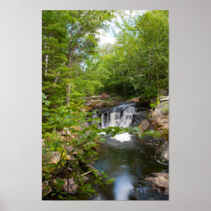 Póster Evans Falls, Maine