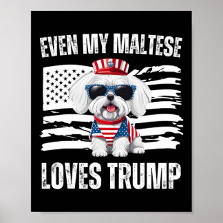 Póster Even My Maltese Loves Trump Dogs Republican Vance 