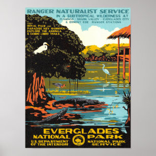 Póster Everglades