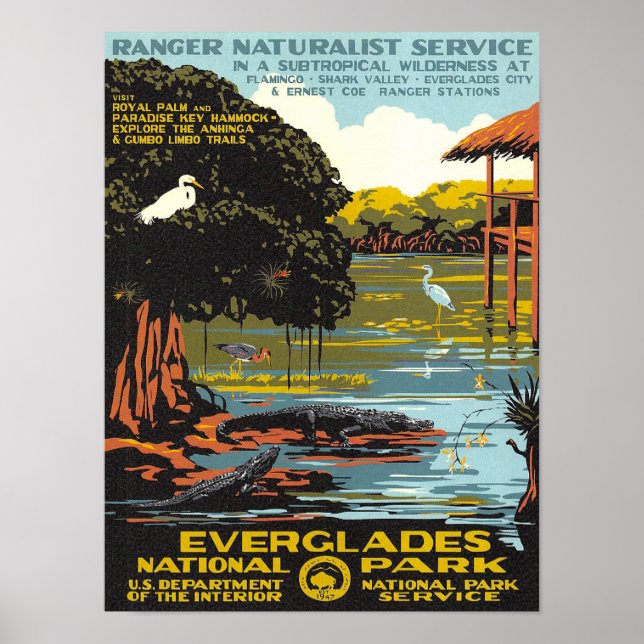 Póster Everglades (Frente)