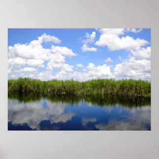 Póster Everglades