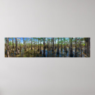 Póster Everglades Cypress