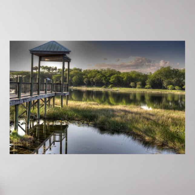 Póster Everglades de Florida (Frente)