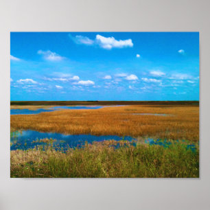 Póster Everglades de Florida: Carrizal, Cielo y Reflejos