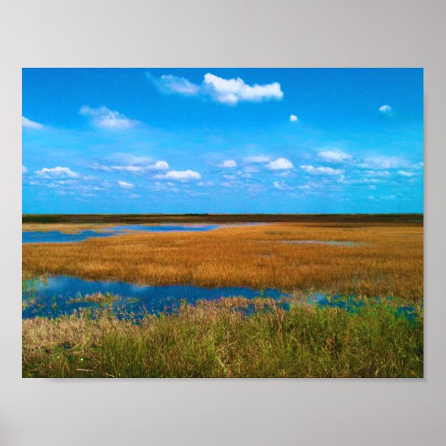 Póster Everglades de Florida: Carrizal, Cielo y Reflejos (Frente)