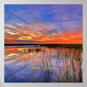 Póster Everglades de Florida, panorama escénico,