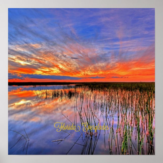 Póster Everglades de Florida, panorama escénico, (Frente)