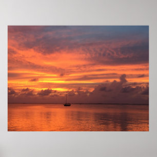 Póster Everglades Sunset