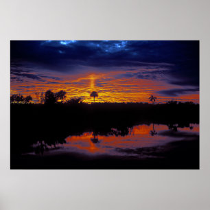 Póster Everglades Sunset
