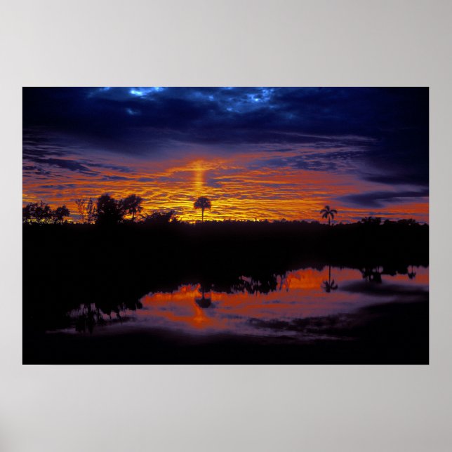 Póster Everglades Sunset (Frente)