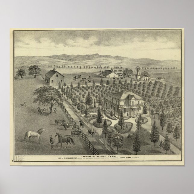 Póster Evergreen Ave Farm (Frente)