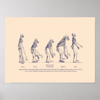 Póster Evidencia del lugar del hombre en la naturaleza