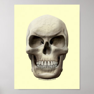 Póster Evil Skull
