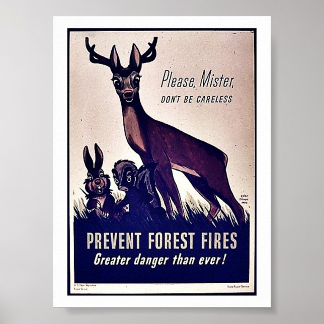 Póster Evitar incendios forestales (Frente)