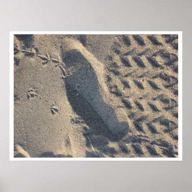 Póster evolución (Frente)