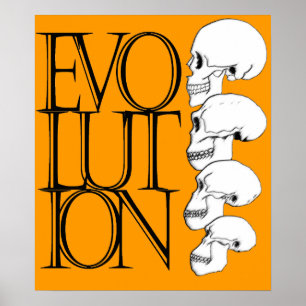 Póster Evolución
