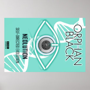 Póster Evolución autodirigida (Poster)