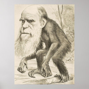 Póster EVOLUCIÓN DARWIN Charles Robert Darwin 1871 carica