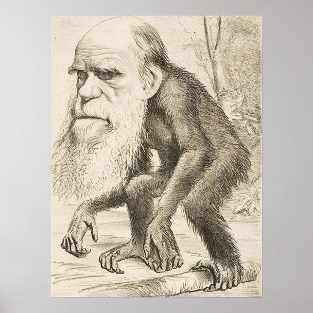 Póster EVOLUCIÓN DARWIN Charles Robert Darwin 1871 carica (Frente)