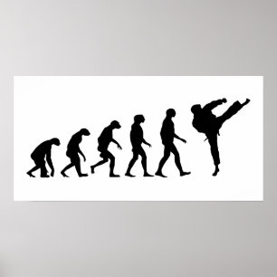 Póster Evolución de Karate