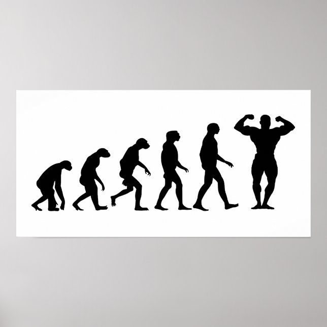 Póster Evolución de la construcción de cuerpos (Frente)