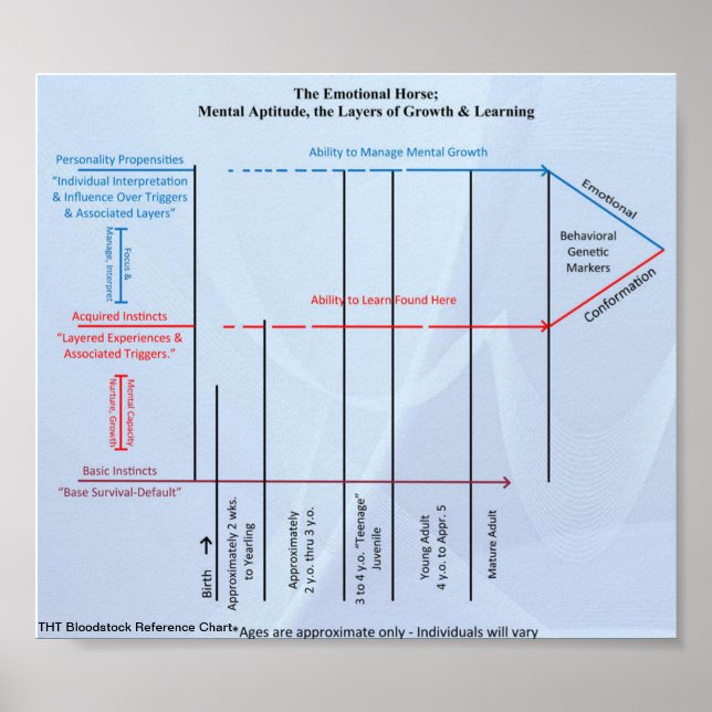 Póster Evolución de la dinámica de manada de la tabla de  (Frente)