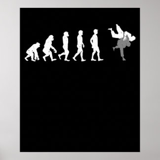 Póster Evolución de las artes marciales en la divertida l